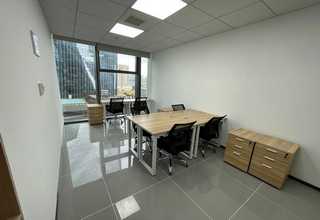 云南花卉盆栽哪有卖