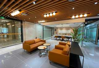 广州阳台种菜要多少钱