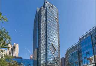 广东金毛宠物服装